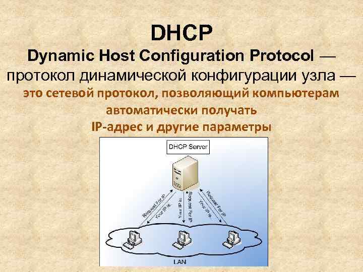 DHCP Dynamic Host Configuration Protocol — протокол динамической конфигурации узла — это сетевой протокол,