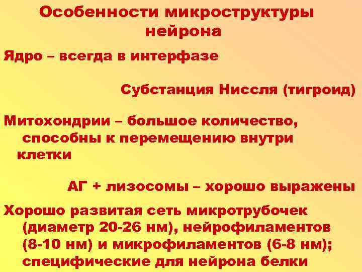 Особенности микроструктуры нейрона Ядро – всегда в интерфазе Субстанция Ниссля (тигроид) Митохондрии – большое