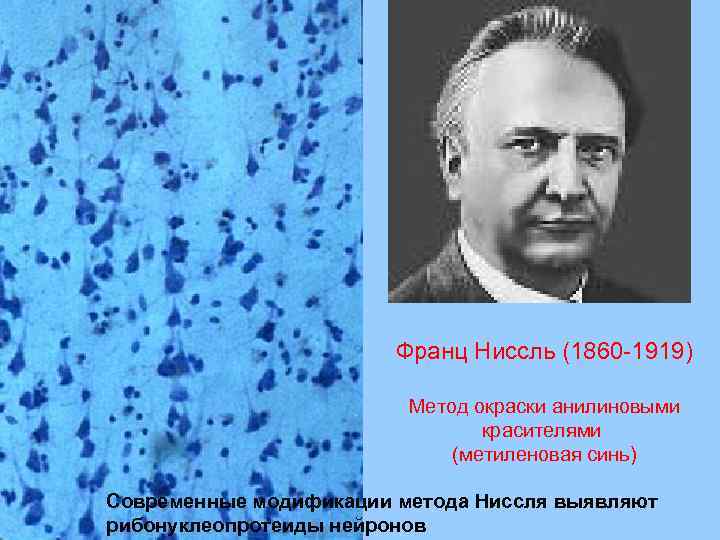 Франц Ниссль (1860 -1919) Метод окраски анилиновыми красителями (метиленовая синь) Современные модификации метода Ниссля