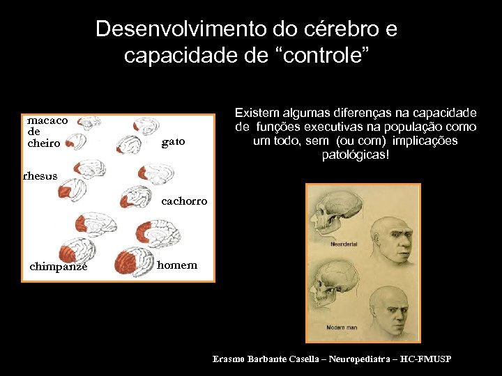 Desenvolvimento do cérebro e capacidade de “controle” macaco de cheiro gato Existem algumas diferenças