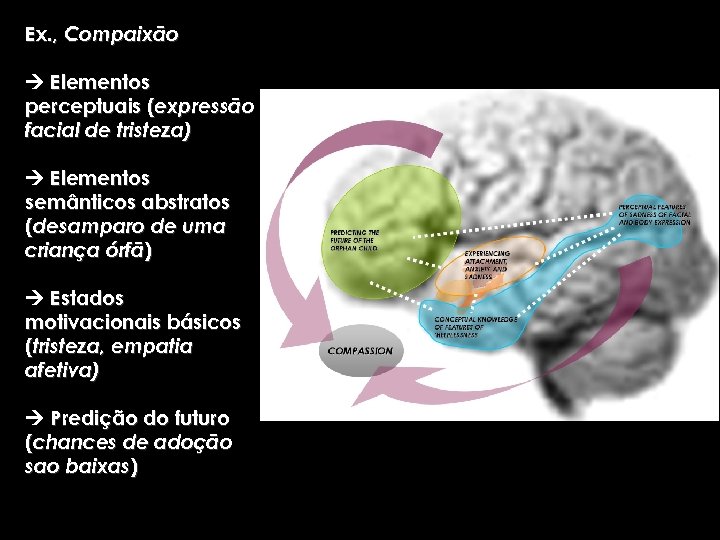 Ex. , Compaixão Elementos perceptuais (expressão facial de tristeza) Elementos semânticos abstratos (desamparo de