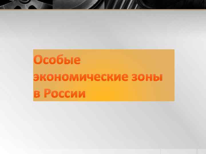 Особые экономические зоны в России 