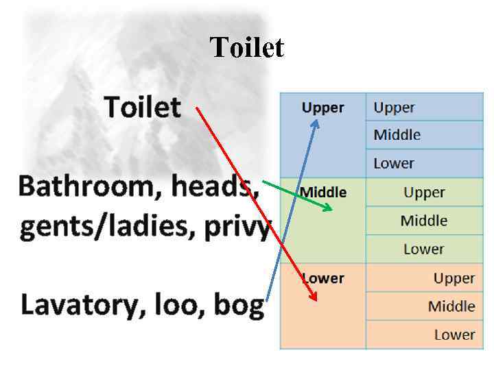 Toilet Bathroom, heads, gents/ladies, privy Lavatory, loo, bog 