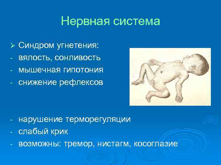 Нервная система Синдром угнетения: - вялость, сонливость - мышечная гипотония - снижение рефлексов Ø