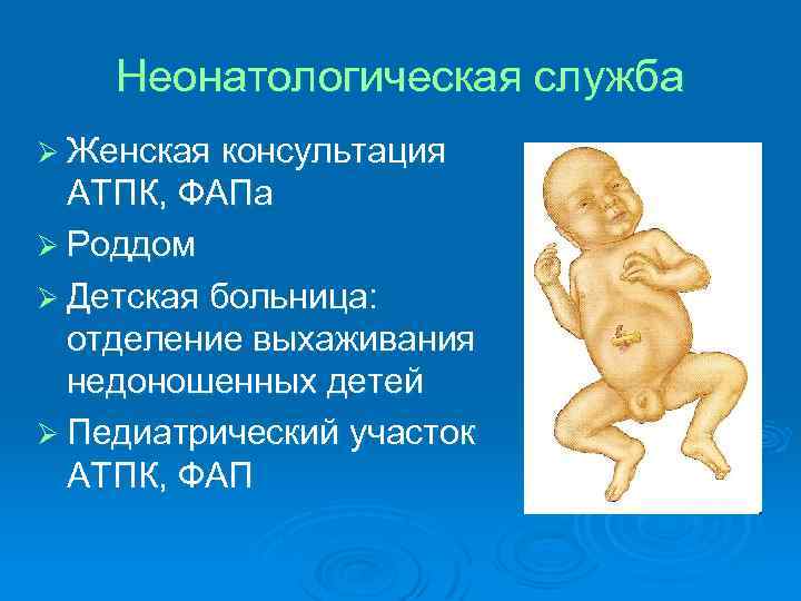 Неонатологическая служба Ø Женская консультация АТПК, ФАПа Ø Роддом Ø Детская больница: отделение выхаживания