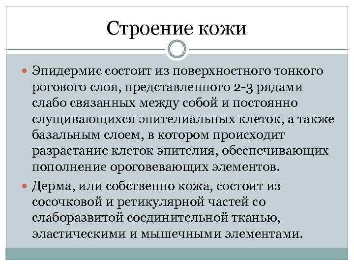 Строение кожи Эпидермис состоит из поверхностного тонкого рогового слоя, представленного 2 3 рядами слабо