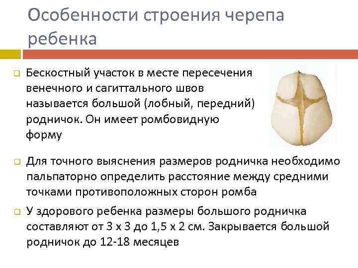Особенности строения черепа ребенка q q q Бескостный участок в месте пересечения венечного и
