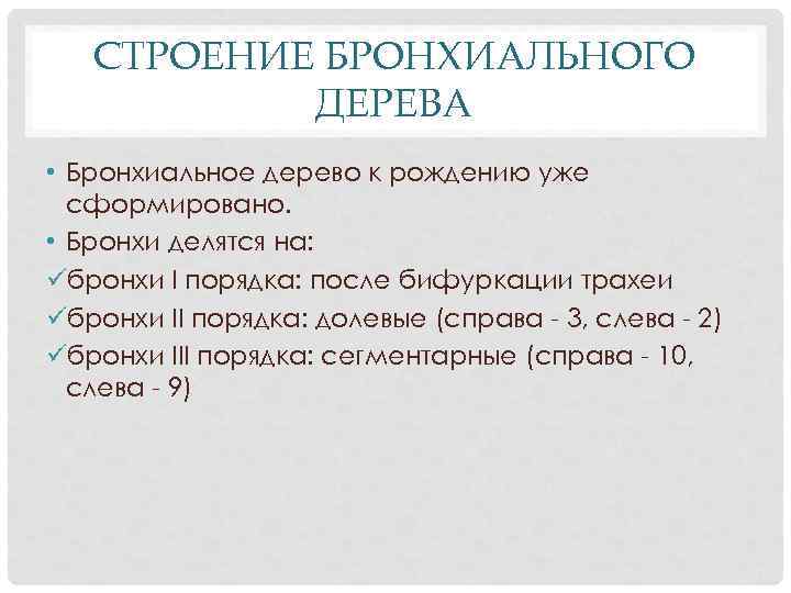 СТРОЕНИЕ БРОНХИАЛЬНОГО ДЕРЕВА • Бронхиальное дерево к рождению уже сформировано. • Бронхи делятся на: