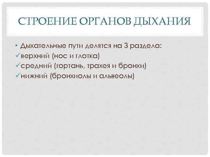 СТРОЕНИЕ ОРГАНОВ ДЫХАНИЯ • Дыхательные пути делятся на 3 раздела: üверхний (нос и глотка)