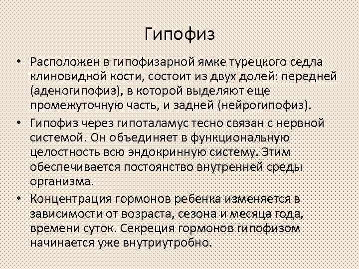 Гипофиз • Расположен в гипофизарной ямке турецкого седла клиновидной кости, состоит из двух долей: