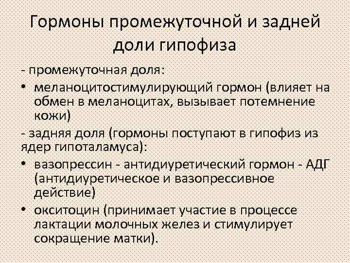 Гормоны промежуточной и задней доли гипофиза - промежуточная доля: • меланоцитостимулирующий гормон (влияет на