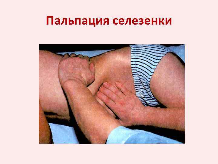 Пальпация селезенки 