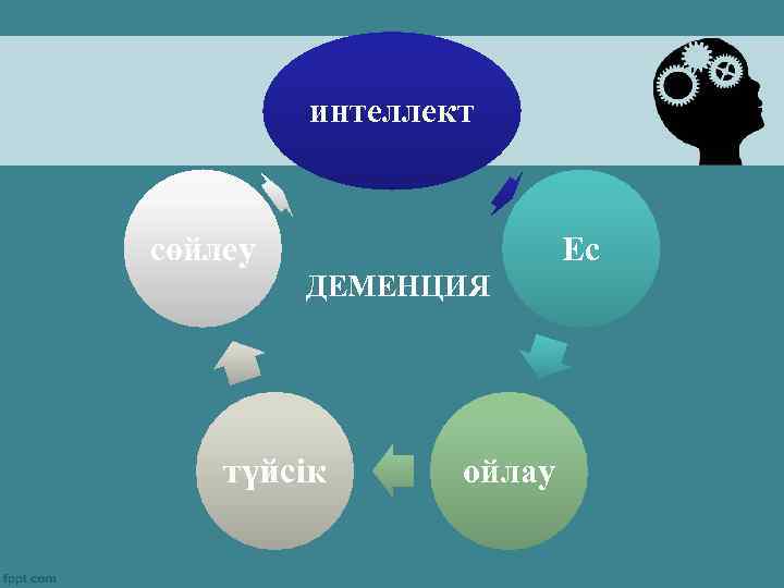 интеллект сөйлеу Ес ДЕМЕНЦИЯ түйсік ойлау 