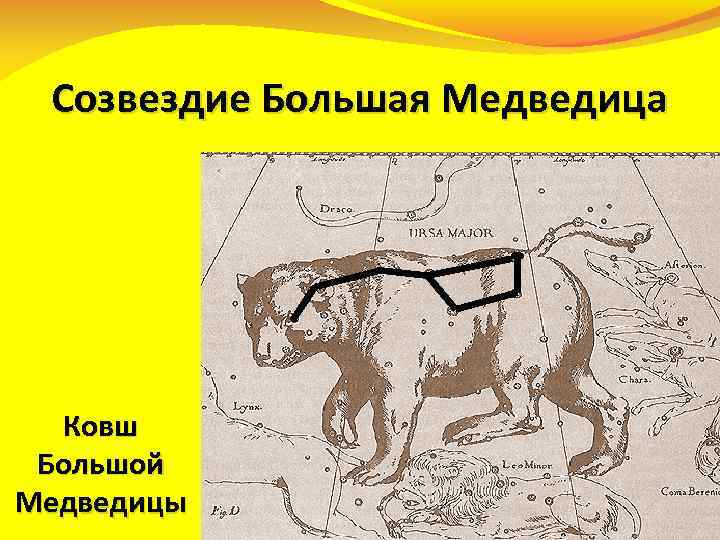 Созвездие Большая Медведица Ковш Большой Медведицы 