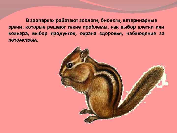 В зоопарках работают зоологи, биологи, ветеринарные врачи, которые решают такие проблемы, как выбор клетки