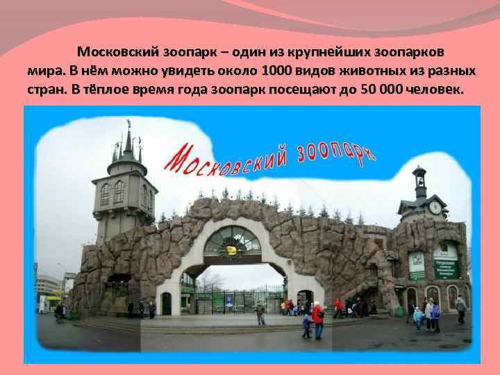 Московский зоопарк – один из крупнейших зоопарков мира. В нём можно увидеть около 1000