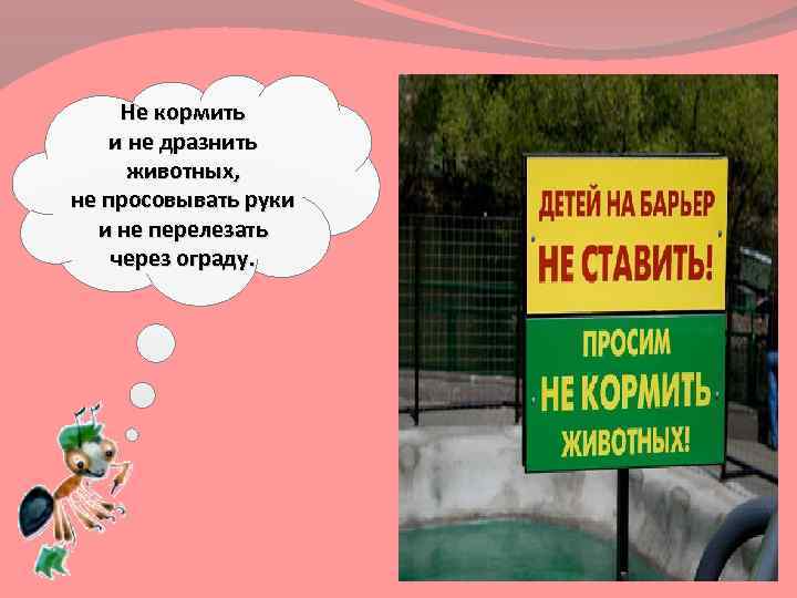 Не кормить и не дразнить животных, не просовывать руки и не перелезать через ограду.
