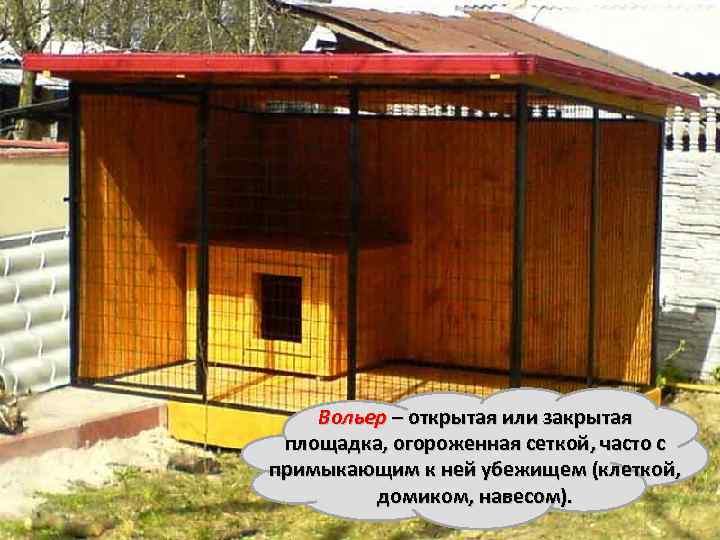 Вольер – открытая или закрытая площадка, огороженная сеткой, часто с примыкающим к ней убежищем