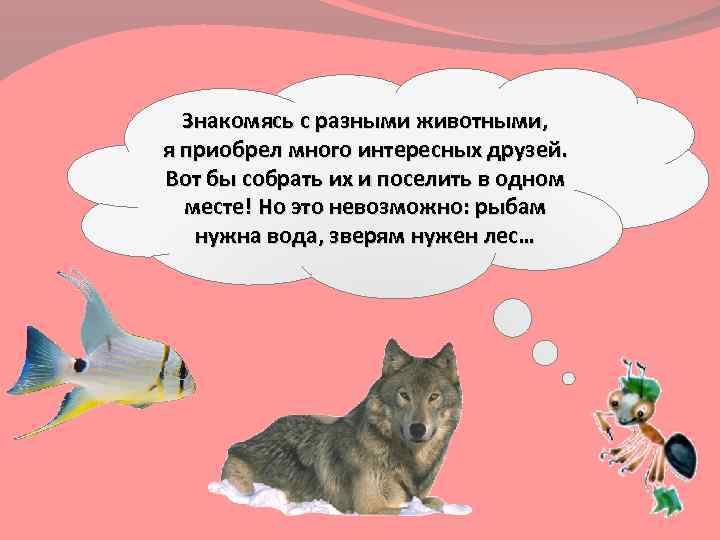Знакомясь с разными животными, я приобрел много интересных друзей. Вот бы собрать их и