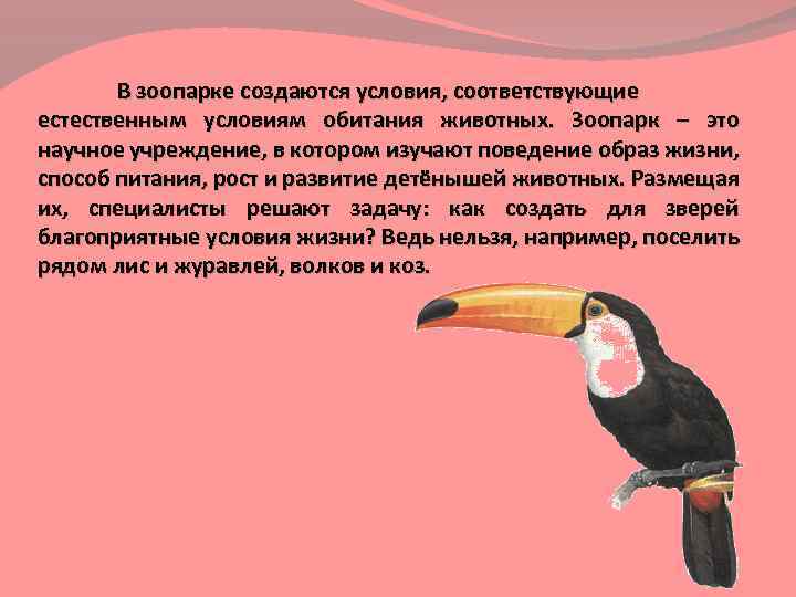 В зоопарке создаются условия, соответствующие естественным условиям обитания животных. Зоопарк – это научное учреждение,