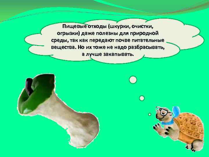 Пищевые отходы (шкурки, очистки, огрызки) даже полезны для природной среды, так как передают почве