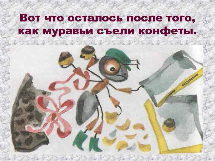 Вот что осталось после того, как муравьи съели конфеты. 