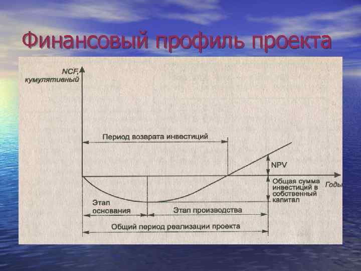 Финансовый профиль проекта 