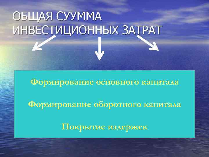 ОБЩАЯ СУУММА ИНВЕСТИЦИОННЫХ ЗАТРАТ Формирование основного капитала Формирование оборотного капитала Покрытие издержек 