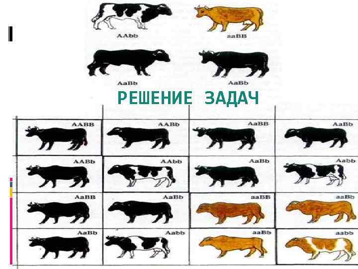 РЕШЕНИЕ ЗАДАЧ 