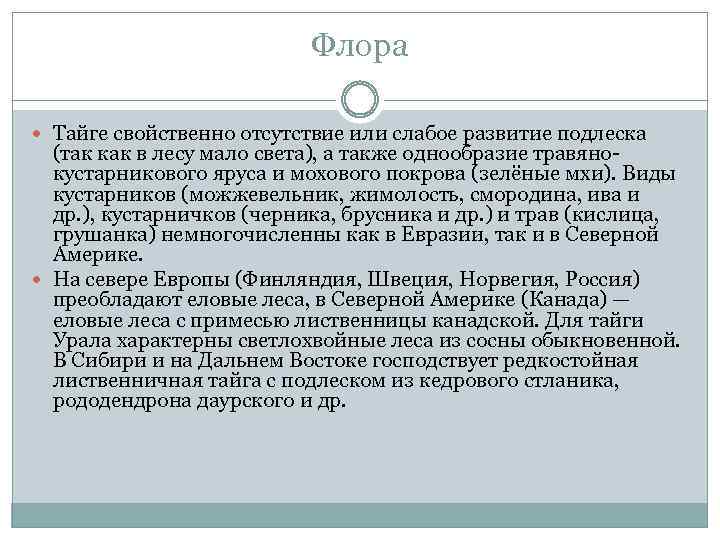 Флора Тайге свойственно отсутствие или слабое развитие подлеска (так как в лесу мало света),