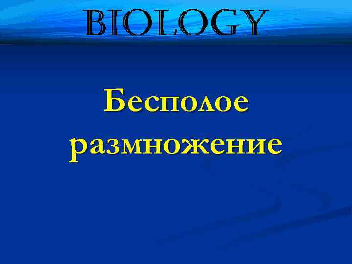 Бесполое размножение 