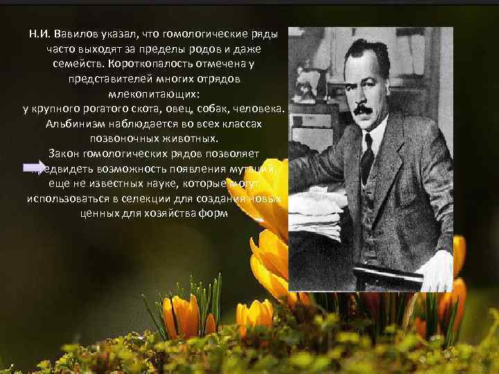 Н. И. Вавилов указал, что гомологические ряды часто выходят за пределы родов и даже