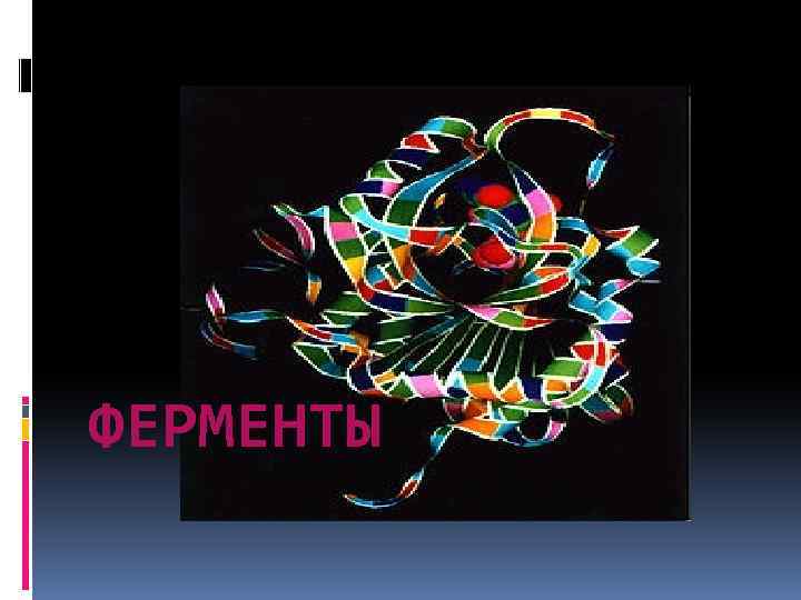 ФЕРМЕНТЫ 