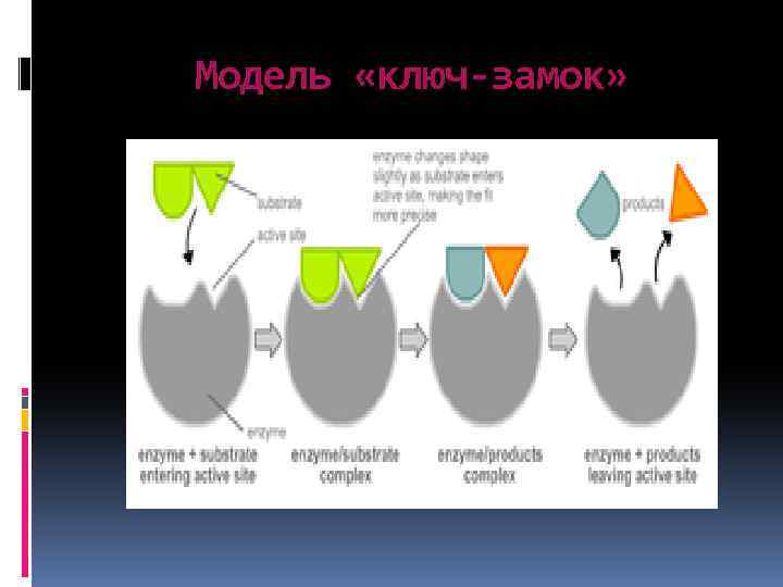 Модель «ключ-замок» 