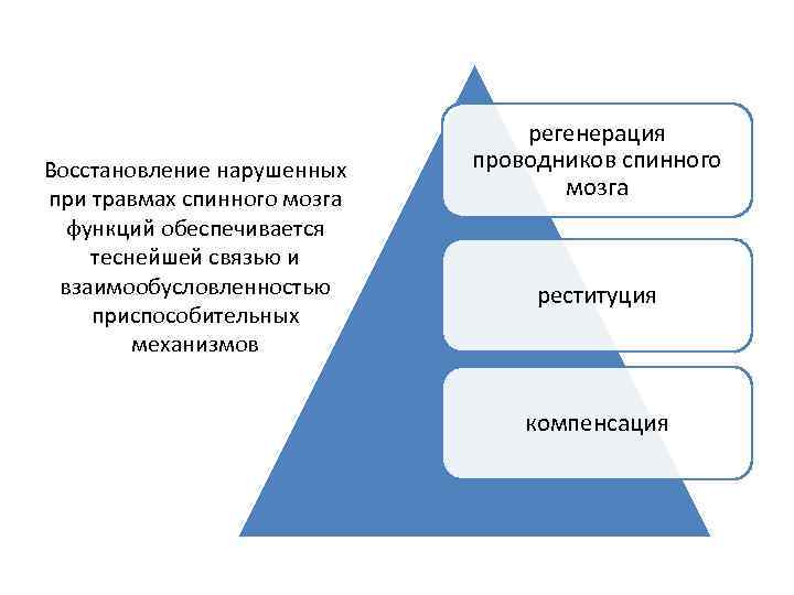 Восстановление нарушенных при травмах спинного мозга функций обеспечивается теснейшей связью и взаимообусловленностью приспособительных механизмов