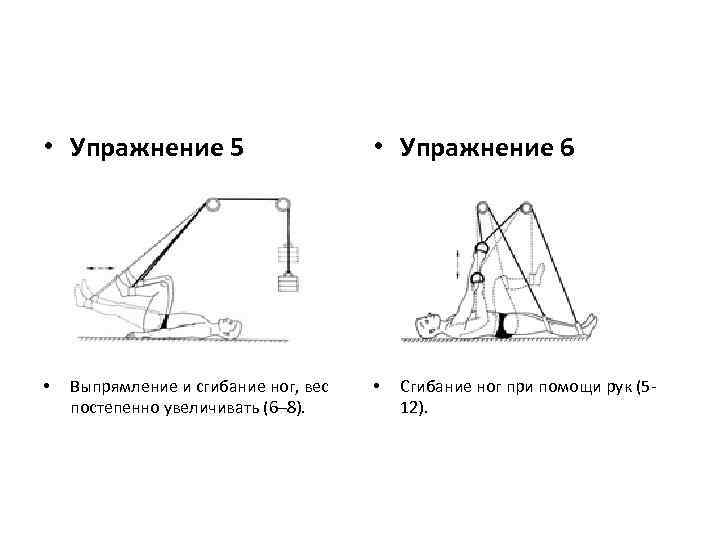  • Упражнение 5 • Выпрямление и сгибание ног, вес постепенно увеличивать (6– 8).