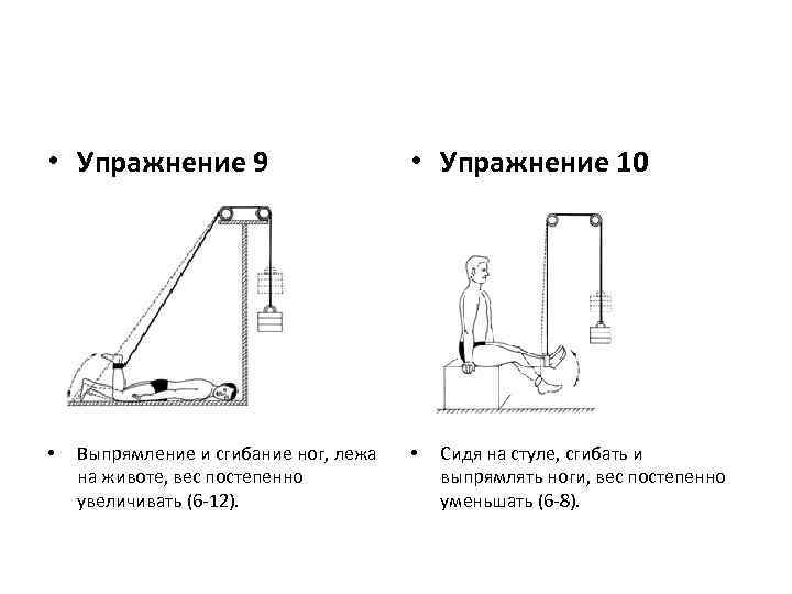  • Упражнение 9 • Выпрямление и сгибание ног, лежа на животе, вес постепенно