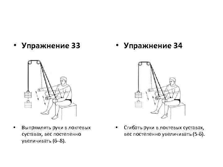  • Упражнение 33 • Выпрямлять руки в локтевых суставах, вес постепенно увеличивать (6–