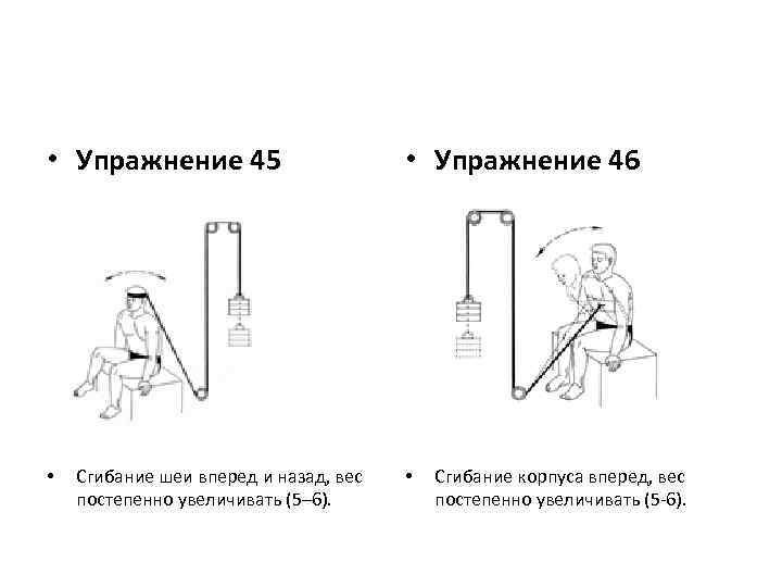  • Упражнение 45 • Сгибание шеи вперед и назад, вес постепенно увеличивать (5–