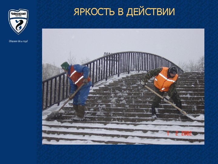 ЯРКОСТЬ В ДЕЙСТВИИ 