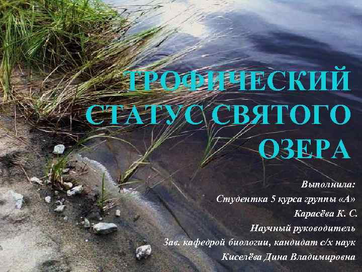 ТРОФИЧЕСКИЙ СТАТУС СВЯТОГО ОЗЕРА Выполнила: Студентка 5 курса группы «А» Карасёва К. С. Научный