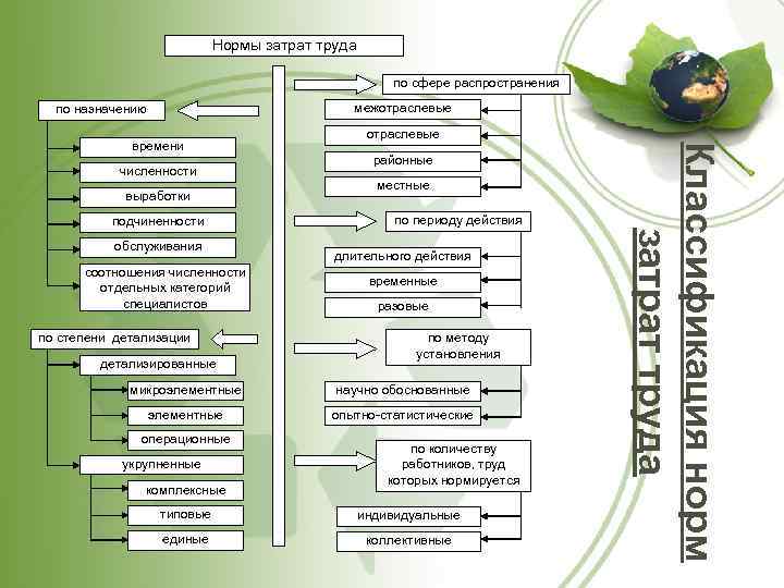 Нормы затрат труда по сфере распространения межотраслевые по назначению численности выработки подчиненности обслуживания соотношения