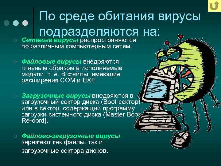 ¢ По среде обитания вирусы подразделяются на: Сетевые вирусы распространяются по различным компьютерным сетям.