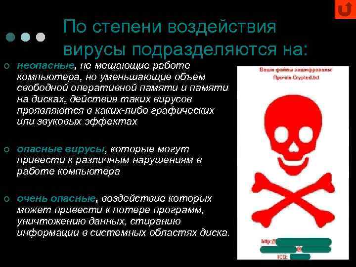 По степени воздействия вирусы подразделяются на: ¢ неопасные, не мешающие работе компьютера, но уменьшающие