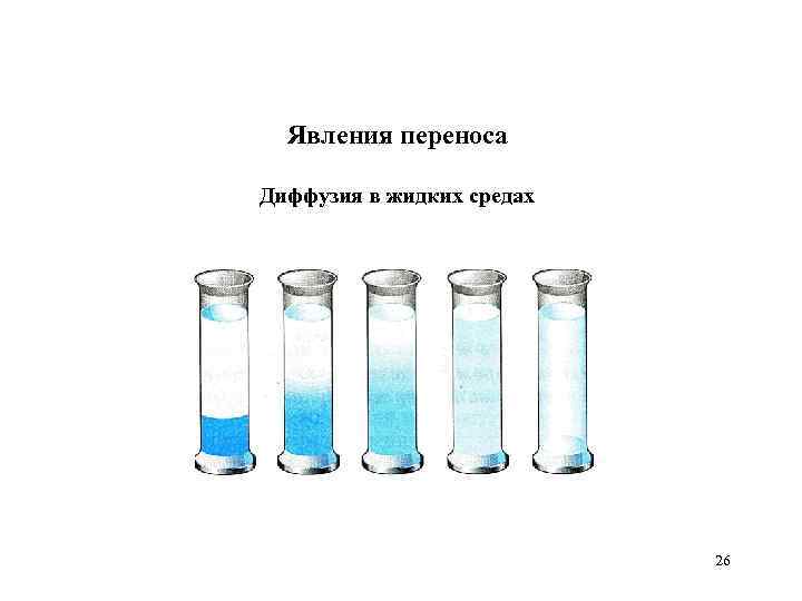 Явления переноса Диффузия в жидких средах 26 