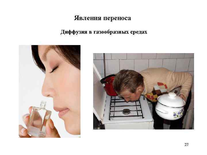 Явления переноса Диффузия в газообразных средах 27 