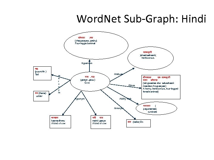 Word. Net Sub-Graph: Hindi च प य , पश (chaupaayaa, pashu) Four-legged animal श