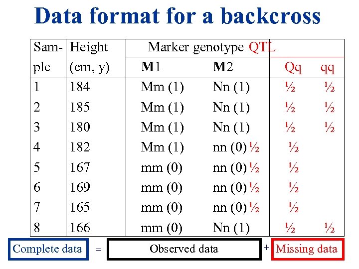 Data format for a backcross Sam- Height ple (cm, y) 1 184 2 185