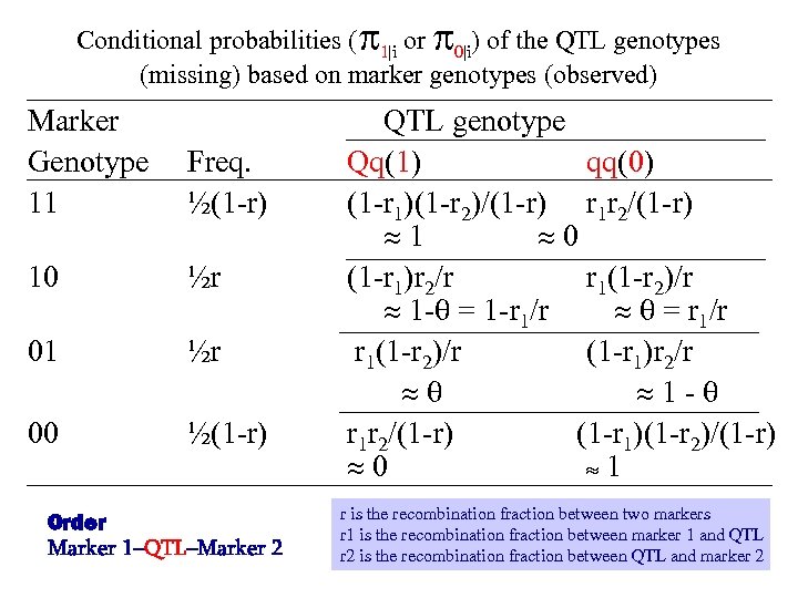 Conditional probabilities ( 1|i or 0|i) of the QTL genotypes (missing) based on marker