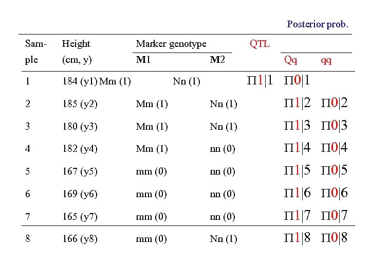 Posterior prob. Sam- Height Marker genotype QTL ple (cm, y) M 1 1 184